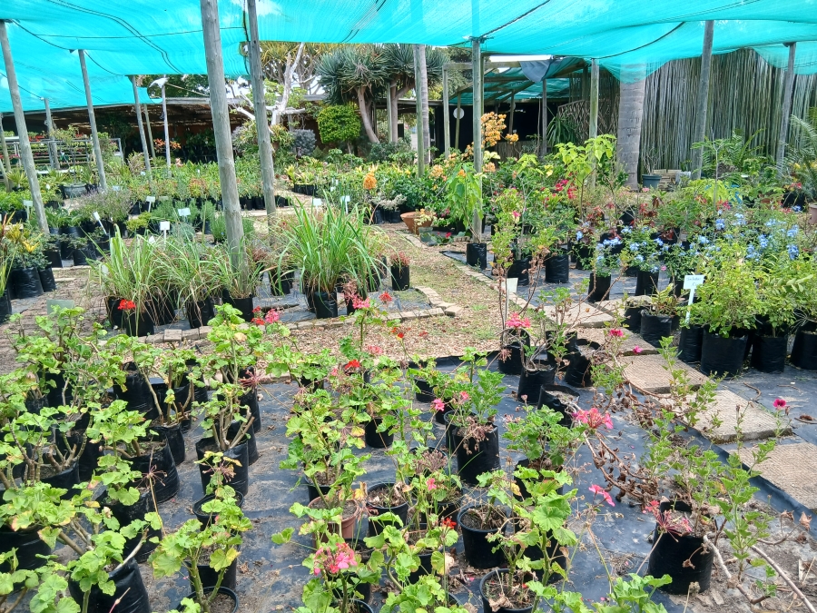 Commercial Property for Sale in C Place Eastern Cape